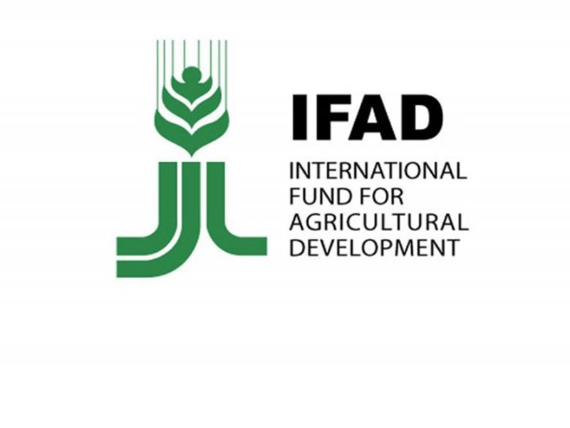 IFAD - International Fund for Agricultural Development